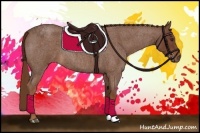 Horse Color:Red Roan 