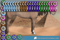 Horse Color:Classic Champagne Rabicano