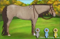 Horse Color:Classic Champagne Roan 