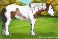Horse Color:Brown Splash Tobiano Rabicano