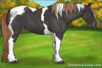 Horse Color:Liver Red Roan Tobiano Varnish 