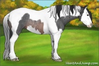 Horse Color:Brown Roan Splash Tobiano Rabicano