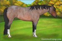 Horse Color:Brown Roan