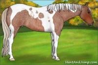 Horse Color:Silver Brown Roan Tobiano