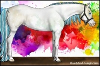 Horse Color:Painted Watercolor White Spotted Cremello Roan Splash Rabicano