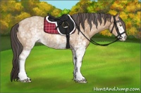 Horse Color:White Spotted Amber Champagne 