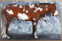 Horse Color:White Spotted Chocolate Brown Frame 