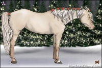 Horse Color:Silver Grullo Roan Pearl Rabicano 