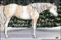 Horse Color:White Spotted Silver Brown Pearl
