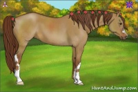 Horse Color:Red Dun 