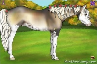 Horse Color:Liver Red Onyx Splash 