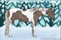 Horse Color:Silver Black Tobiano 