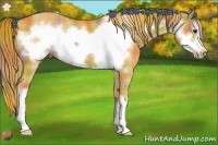 Horse Color:Nacre Plaid Chestnut Frame