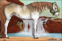 Horse Color:White Spotted Liver Red Dun Onyx Brindle