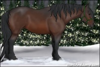 Horse Color:Brown 