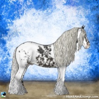 Horse Color:Liver Chestnut Mushroom Sabino Varnish 