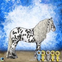 Horse Color:Liver Chestnut Mushroom Near Leopard