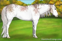 Horse Color:White Spotted Chocolate Silver Brown Ice