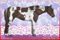 Horse Color:Liver Chestnut Tobiano 