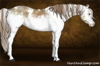Horse Color:White Spotted Liver Red Dun Rabicano 