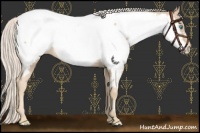 Horse Color:Palomino Pearl Frame Appaloosa 