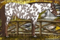 Horse Color:Liver Red Roan Near Leopard 