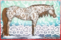 Horse Color:Chestnut Appaloosa