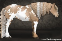Horse Color:White Spotted Liver Chestnut Pearl 