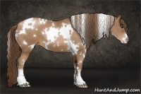 Horse Color:White Spotted Brown Pearl Sabino 