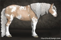 Horse Color:White Spotted Silver Brown Pearl Sabino Splash Rabicano