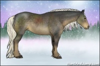 Horse Color:Liver Chestnut Rabicano 