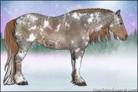 Horse Color:White Spotted Liver Chestnut Ice Sabino 