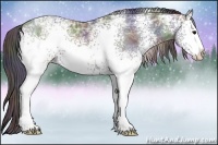 Horse Color:Nacre White Spotted Black Ice Sabino