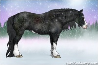Horse Color:Smoky Black Chinchilla Ice Sabino 