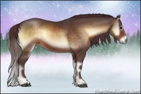 Horse Color:Chocolate Brown Onyx