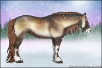 Horse Color:Liver Red Onyx Sabino Snowflake Varnish Rabicano 