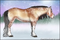Horse Color:Brown Ice Onyx 