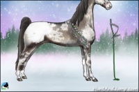 Horse Color:Smoky Blue Onyx Ice Appaloosa