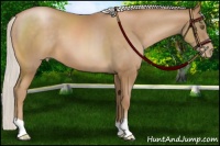 Horse Color:Silver Bay Pearl