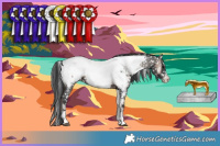 Horse Color:Blue Onyx Sabino Near Fewspot Rabicano 