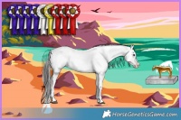 Horse Color:Blue Onyx Sabino Appaloosa Rabicano 