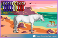 Horse Color:Blue Onyx Sabino Appaloosa Rabicano