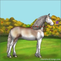 Horse Color:Silver Blue Onyx Splash
