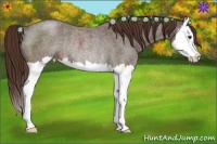 Horse Color:Liver Red Roan Splash Rabicano