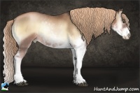 Horse Color:Liver Red Onyx Pearl Sabino Rabicano
