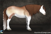 Horse Color:Brown Pearl Onyx Splash 
