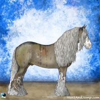 Horse Color:Liver Red Dun Mushroom Sabino Splash Rabicano Brindle
