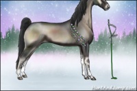 Horse Color:Blue Onyx Sabino