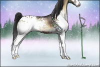 Horse Color:White Spotted Brown Onyx Sabino Appaloosa 