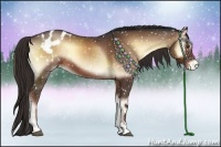 Horse Color:Liver Red Onyx Sabino Appaloosa
